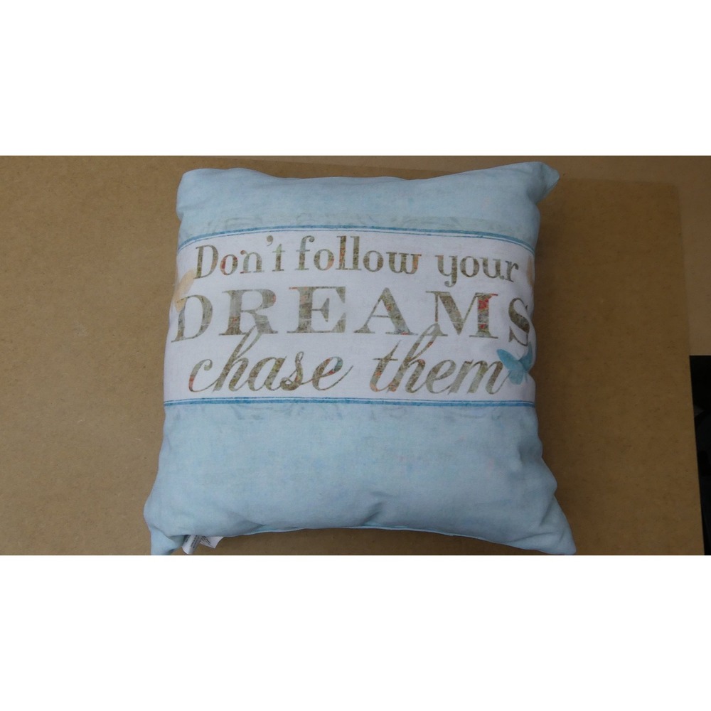 Unbranded Decorative Pillow Unisex 20x20 Blue Dreams Chase Them Graphic